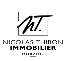 Nicolas Thibon Immobilier
